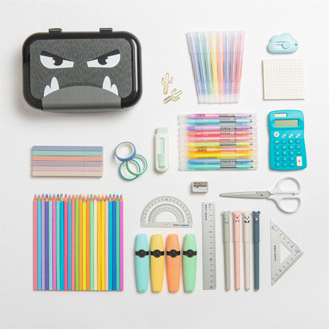 Recycled Plastic Pencil Box - ZIPIT