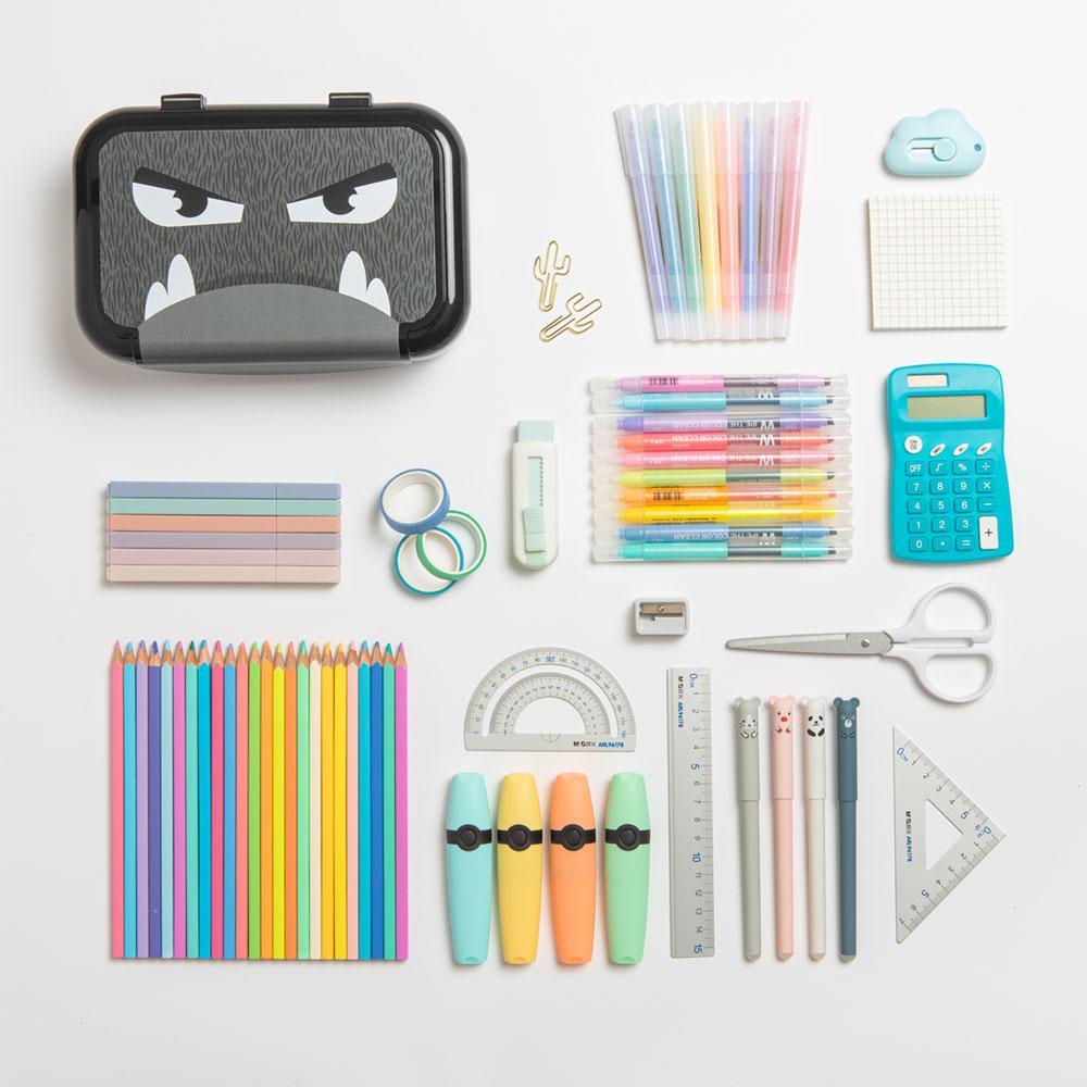 Recycled Plastic Pencil Box Pencil/Storage Box ZIPIT